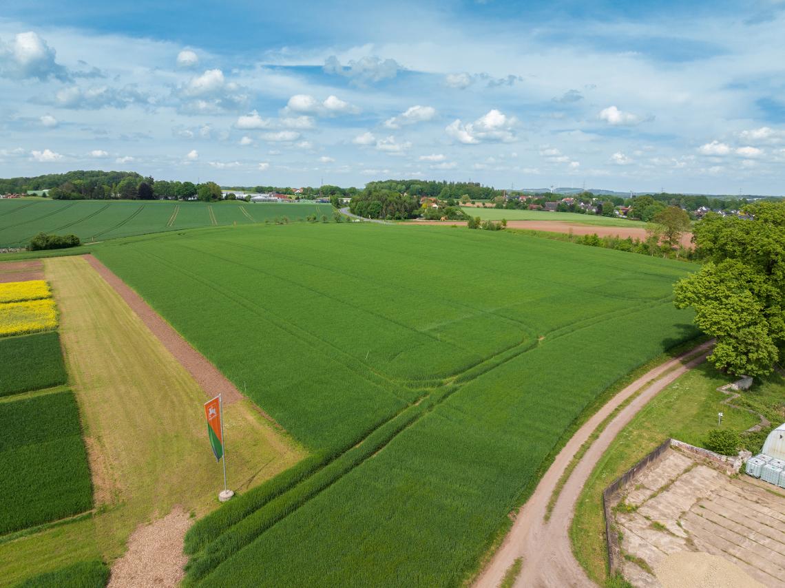 Wambergen Versuchsflaechen