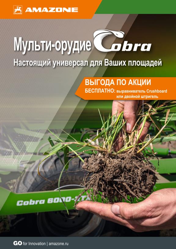 Beileger Cobra – Универсальность в совершенстве
