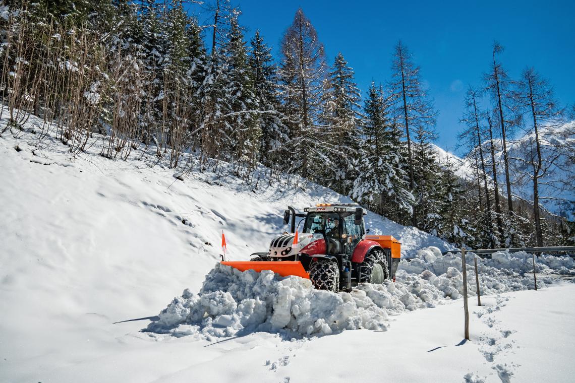 IceTiger Steyr-Schild