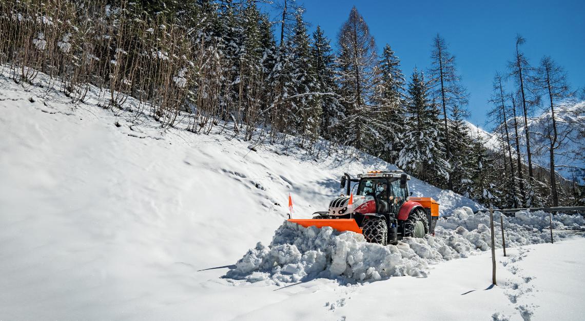 IceTiger Steyr-Schild
