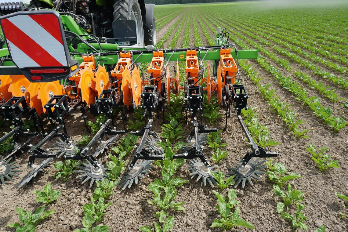 Venterra 2K Fingerhacke Ruebe Claas AZ DSC00366