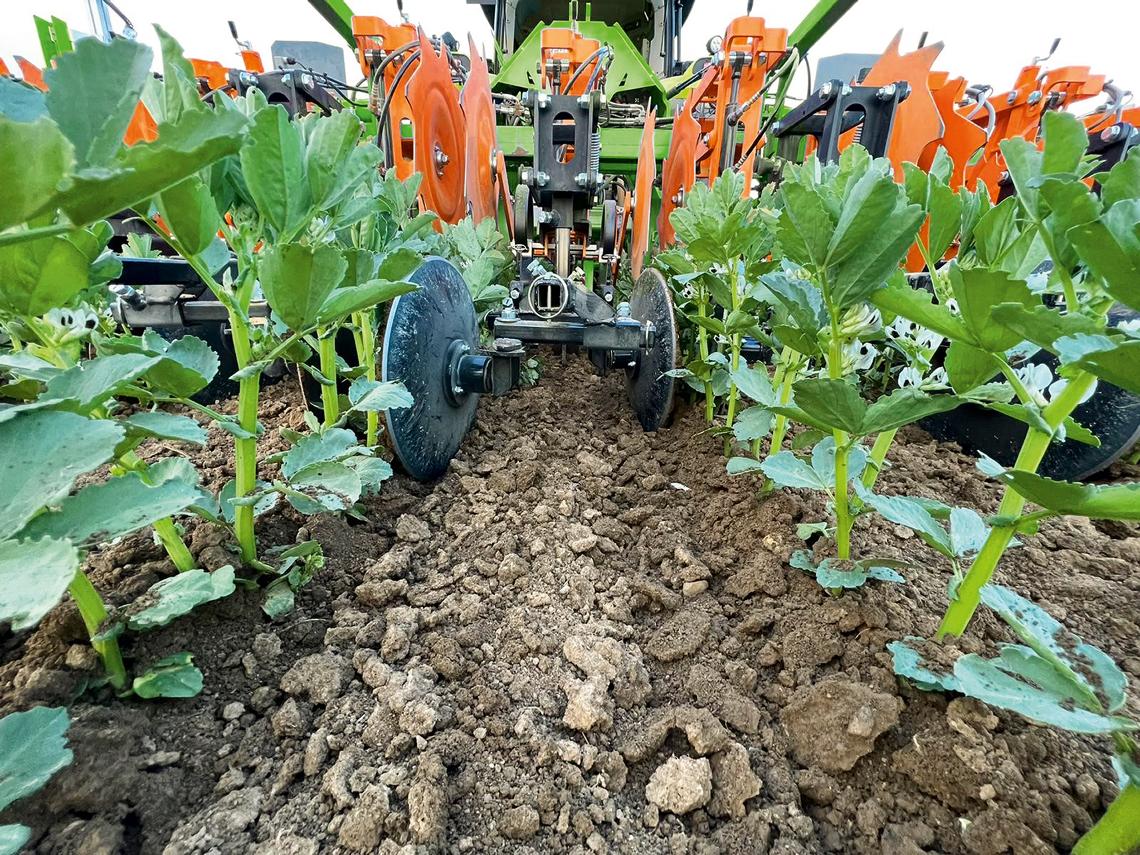 Venterra 2K Haeufelscheibe Ackerbohne Claas AZ