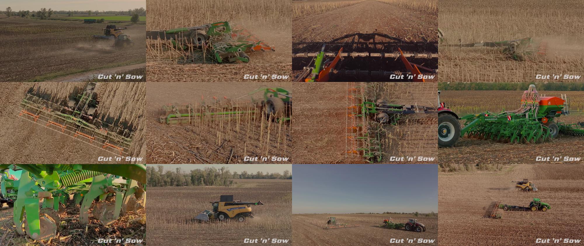 Video TopCut12000-2T Sonnenblumen