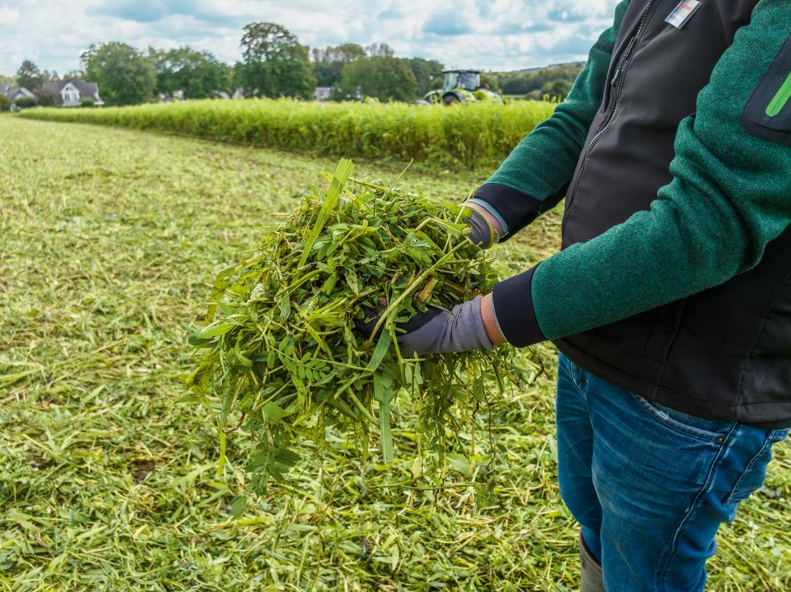 TopCut ZwiFru Claas