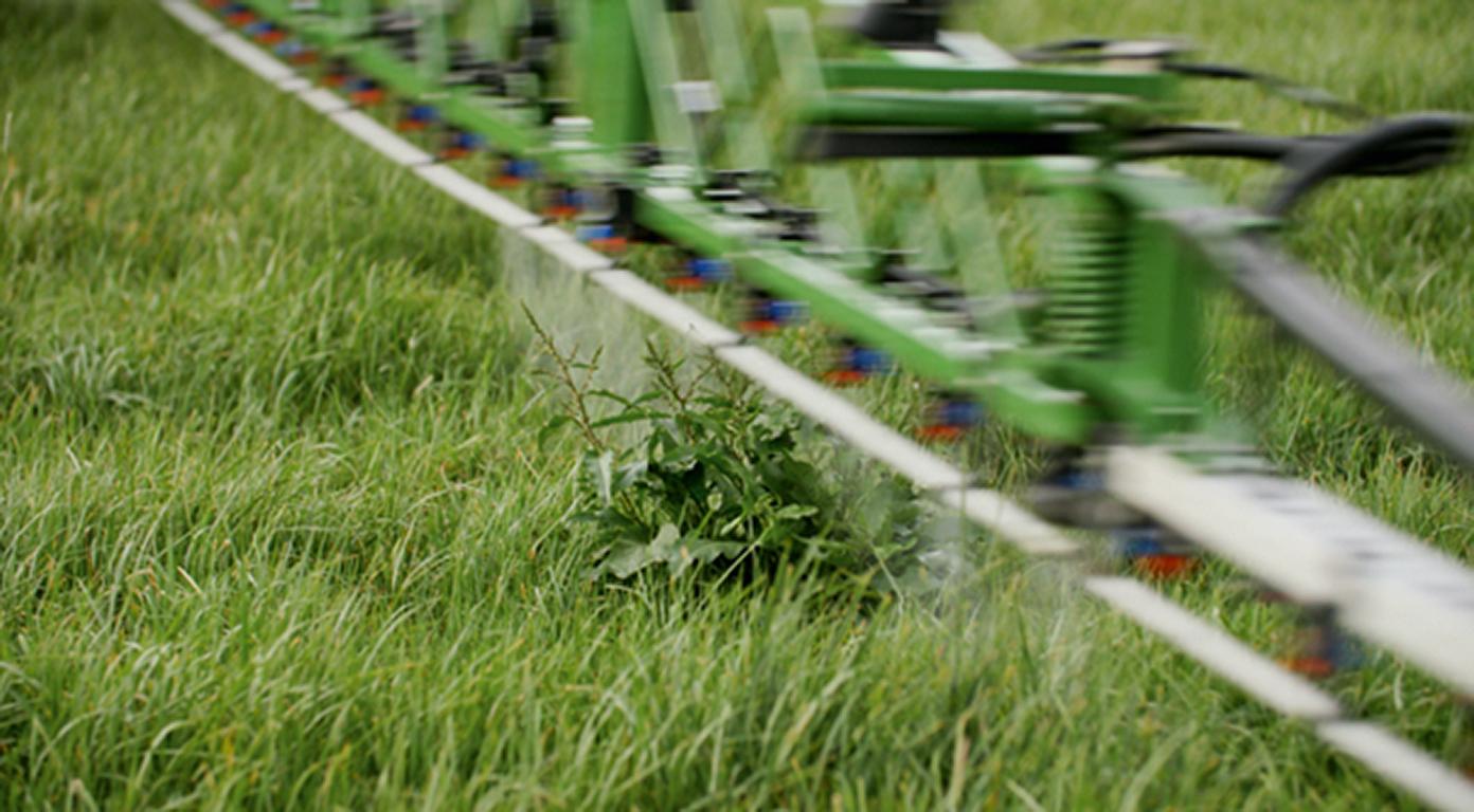 Spotspraying im Detail d1 250818