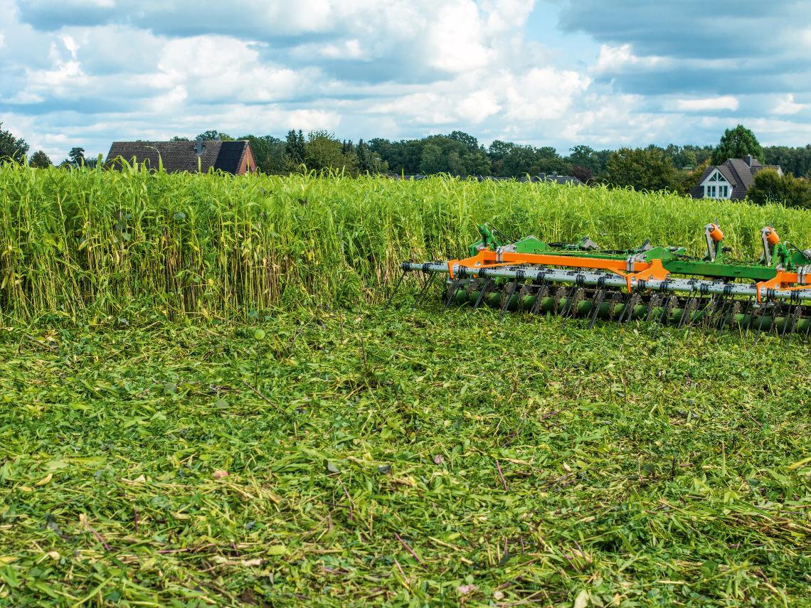 TopCut ZwiFru Claas