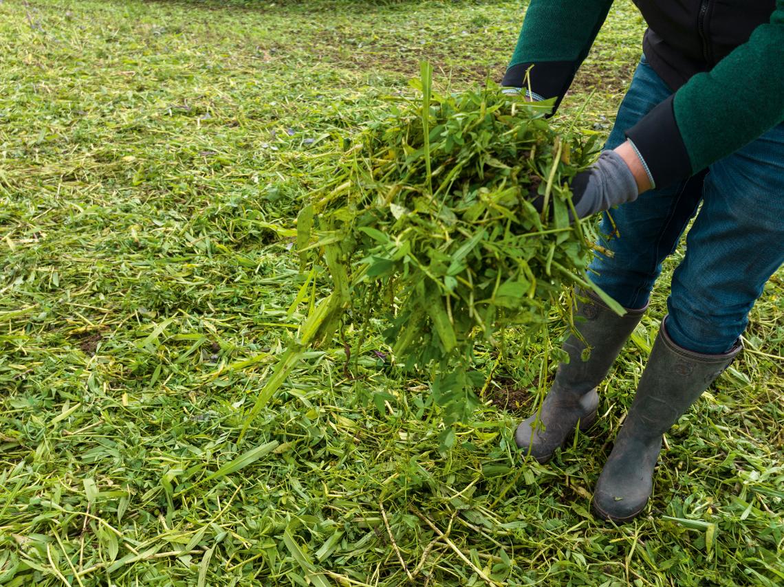 TopCut ZwiFru Claas