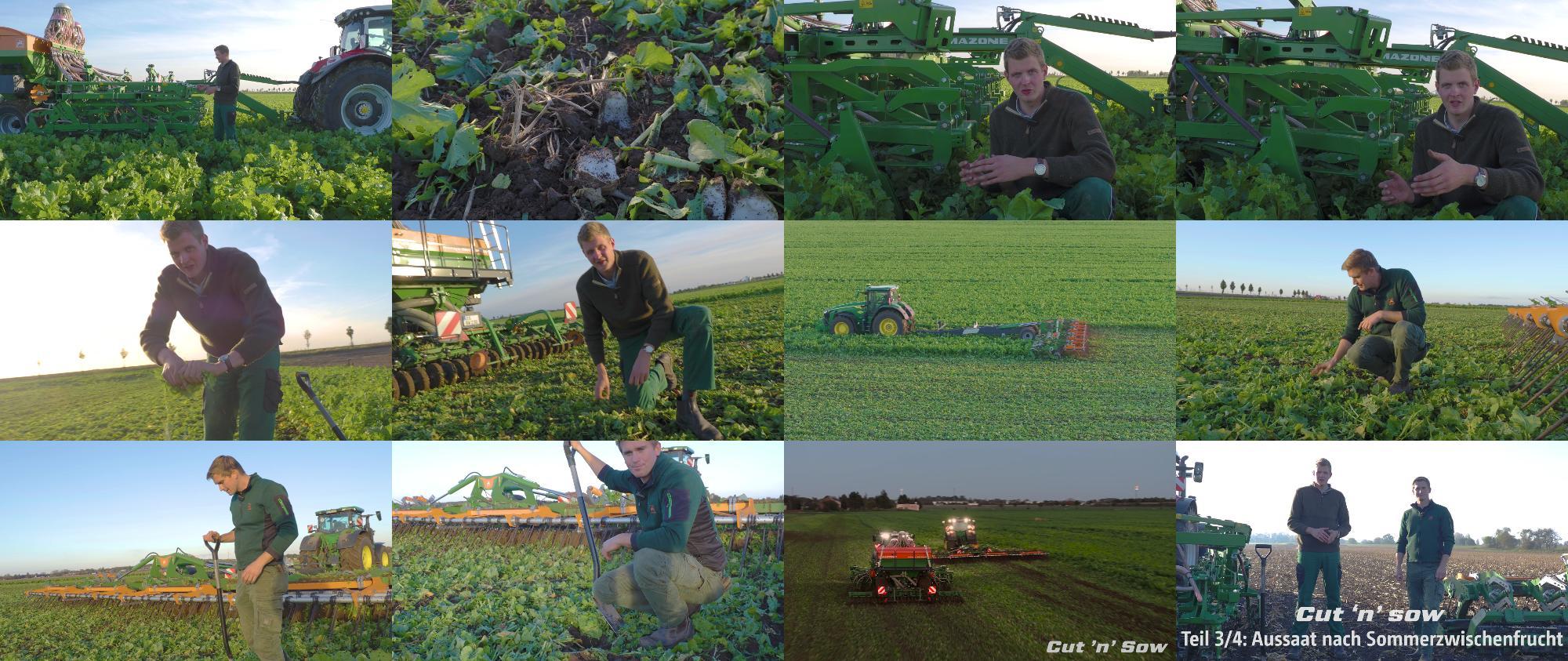 Video Cut-n-Sow Teil-3 Aussaat-nach-Sommerzwischenfrucht