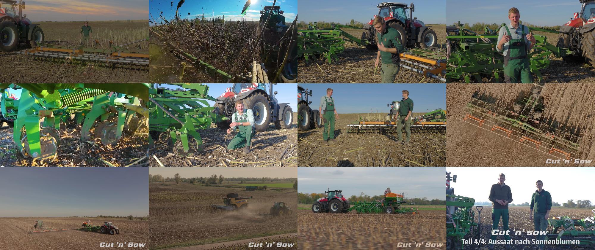 Video Cut-n-Sow Teil-4 Aussaat-nach-Sonnenblumen