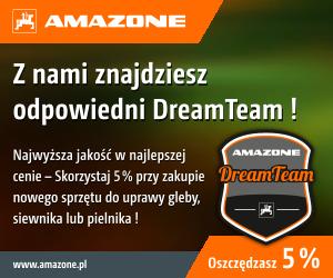 Anzeige „Z nami znajdziesz odpowiedni DreamTeam !“, 300x250 pix, RGB, pl