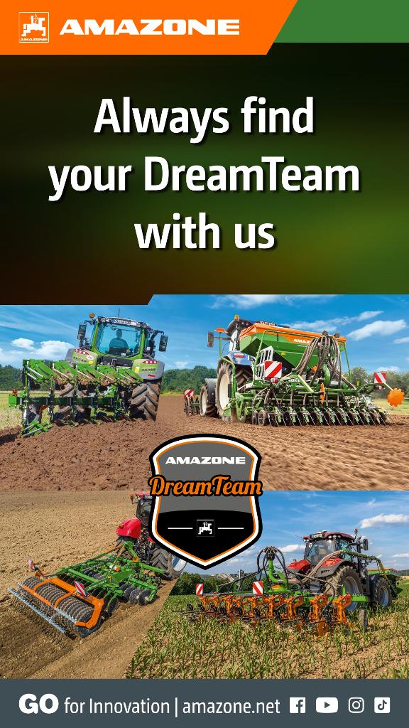 WhatsApp Advertisement „Always find your DreamTeam with us“, 1080x1920 pix, rgb