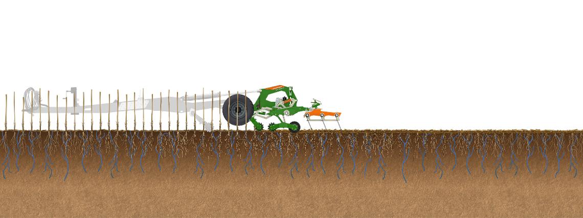 Bodenillustration Arbeitsweise TopCut in Sonnenblumen
