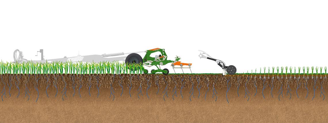 Bodenillustration Arbeitsweise TopCut und Condor Schar in Zwischenfrucht