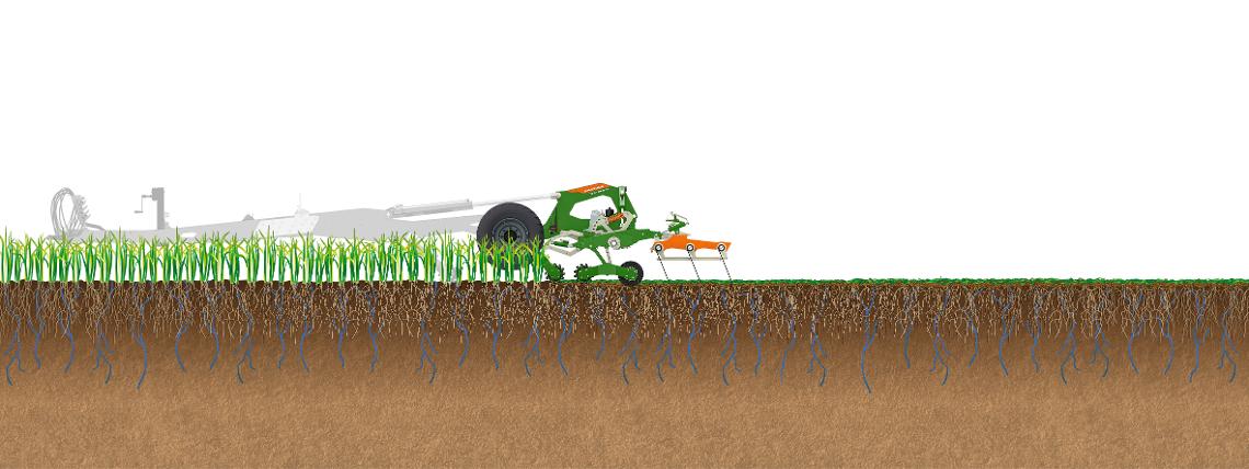 Bodenillustration Arbeitsweise TopCut in Zwischenfrucht