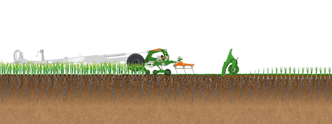 Bodenillustration Arbeitsweise TopCut und DMC Schar in Zwischenfrucht