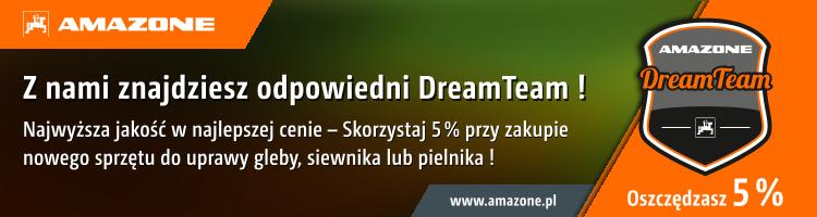 Anzeige „Z nami znajdziesz odpowiedni DreamTeam !“, 750x200 pix, RGB, pl