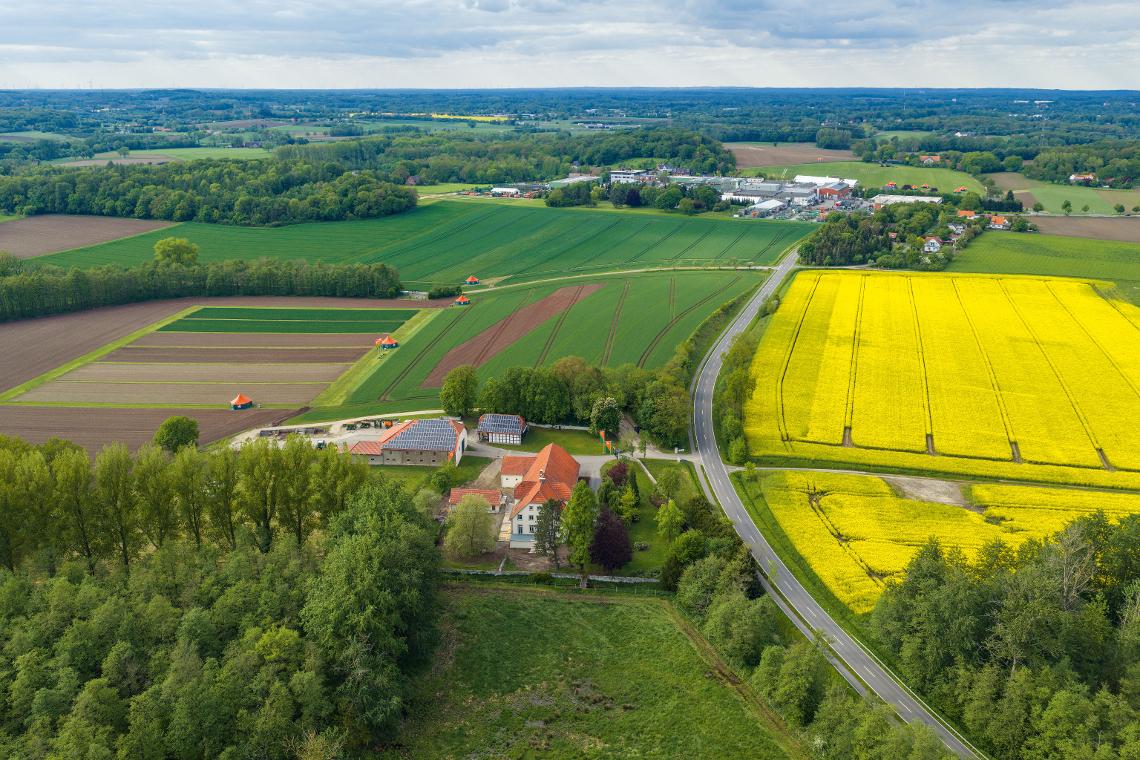 Wambergen Luftbild