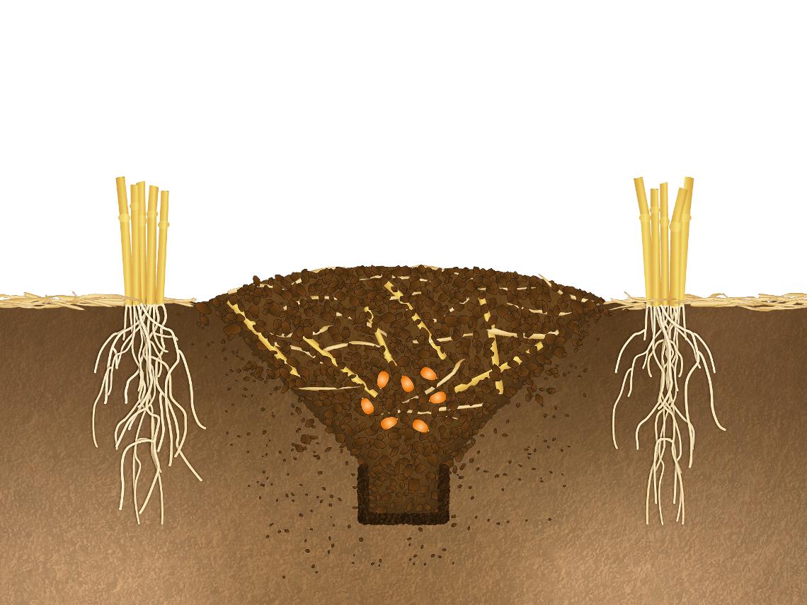 Bodenillustration Zinkenschar
