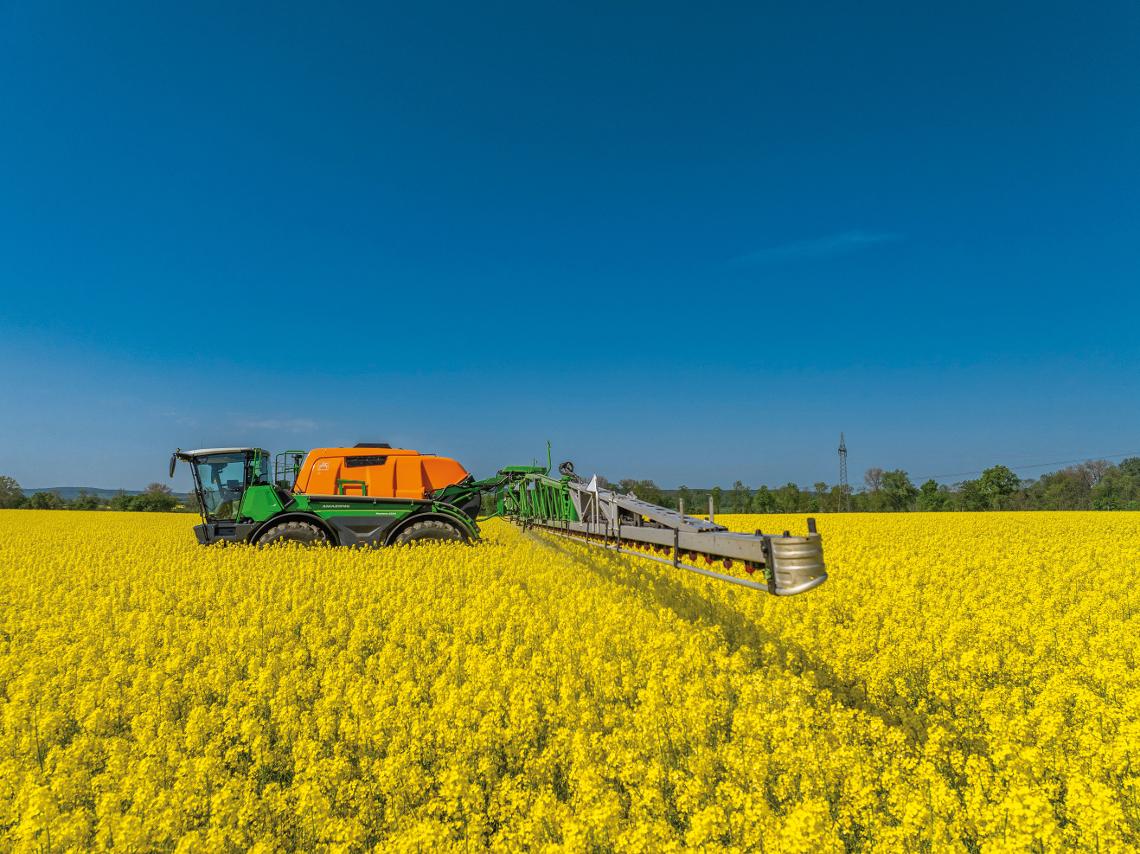 Pantera4504