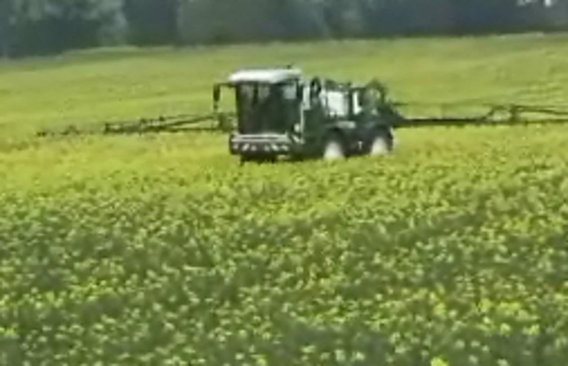 Video SF430 - 2007